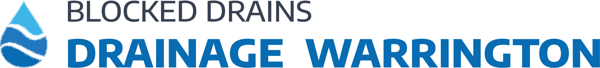 website logo